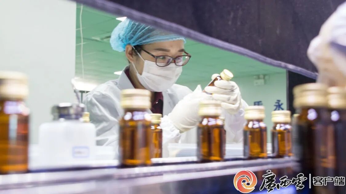 廣西日報(bào)聚焦天緣綠：從產(chǎn)品創(chuàng)新到行業(yè)標(biāo)準(zhǔn)，引領(lǐng)芭蕉健康產(chǎn)業(yè)升級